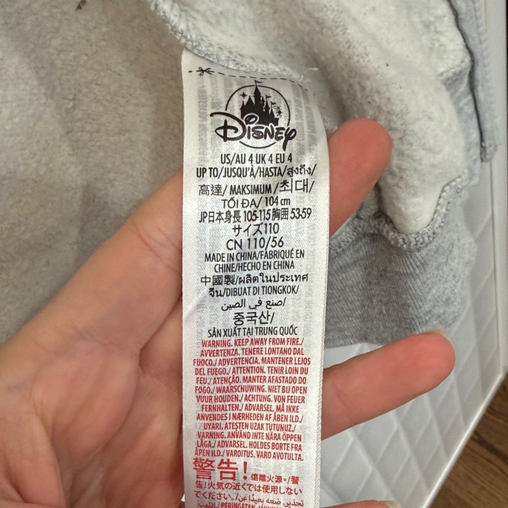 2024 Walt Disney World Kids Hoodie Size 4 - Picture 4 of 4